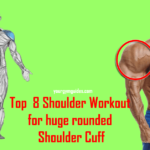 shoulder workout top 8 best perfect advanced exercise for huge rounded shoulder