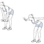 bent-over-lateral-raise-exercise-illustration-yourgymgides