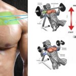 Best-Upper-Chest-Workout-For-Explosive-Muscle-Gains-