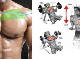Upper-Chest-Workout