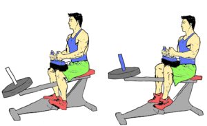 Seated Calf Raise exercise