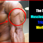 The best 5 muscles building triceps workout exercise brachi deltoid