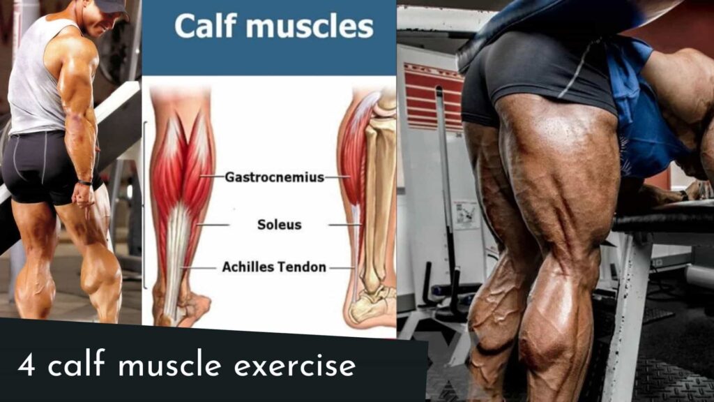 Calf Exercises the 4 Best calf workout Diamond Shaped Calves