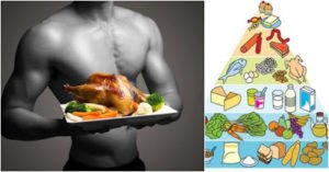 Chicken benefit for muscle growth 