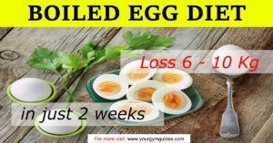 Read more about the article boiled egg diet loss weight upto 6 – 9 kgs in just 2 weeks