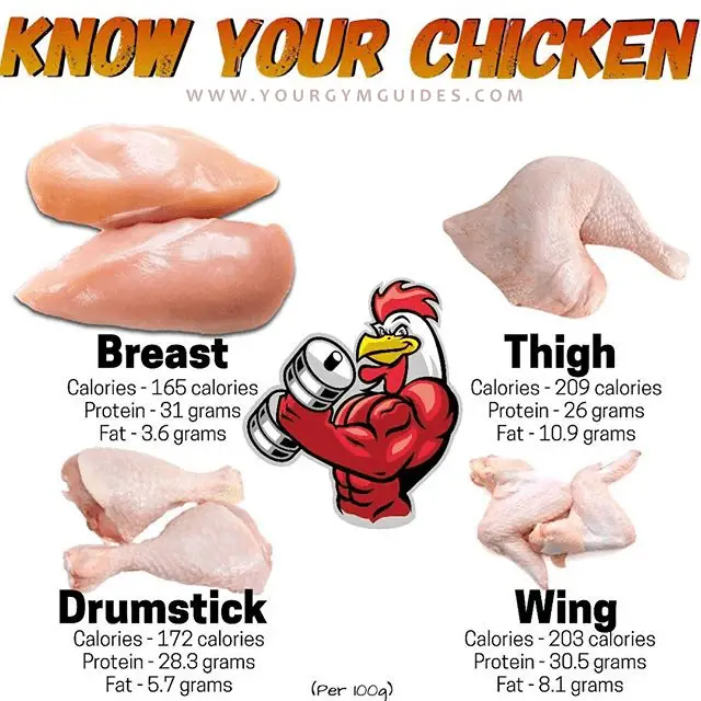 The Benefits Of Chicken Protein For muscle growth.