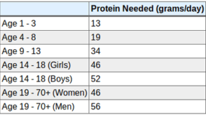 protein per day as per age