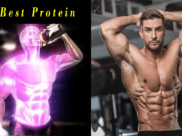 best protein supplements for muscles growth