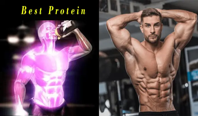 best protein supplements for muscles growth