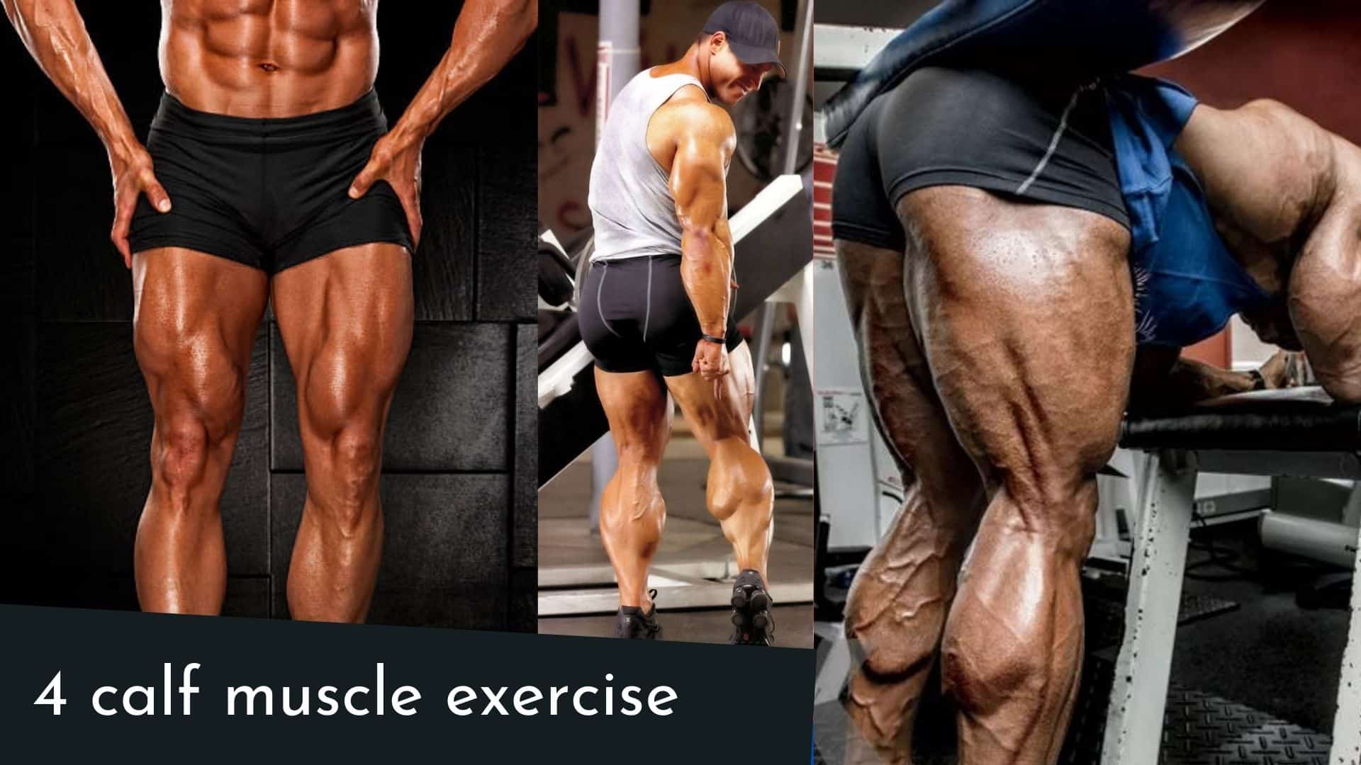 Read more about the article Best 4 key feature to development of your calf muscle exercise
