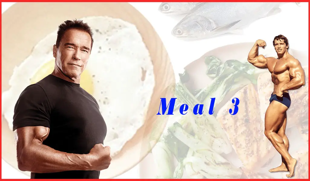 Read more about the article Diet plan to gain weight, Full Day diet  | Meal 03