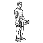 Dumbbell Curls gif image