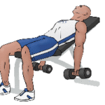 Incline-Dumbbell-Curl