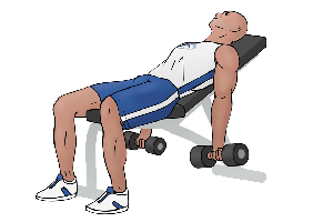 Incline-Dumbbell-Curl gif image