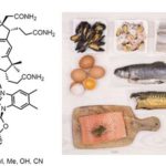 Vitamin B12  nutrition deficiency rich foods nutrition value