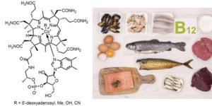 Vitamin B12 nutrition deficiency rich foods nutrition value