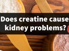 creatine side effects kidneys