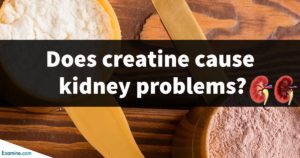 Read more about the article Does Creatine Supplement Damage Kidney? Creatine side effects kidneys