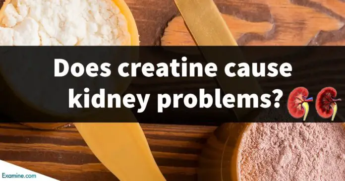 creatine side effects kidneys