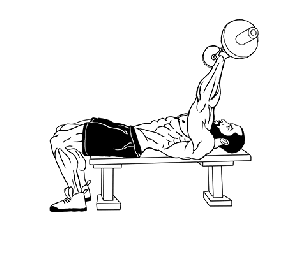 lying triceps extension gif image