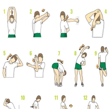 Stretching Exercises Activity: for you to do at home