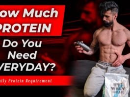 how much is the daily protein requirement per day to build muscles for bodybuilding
