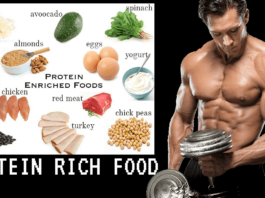 which food contains the most protein