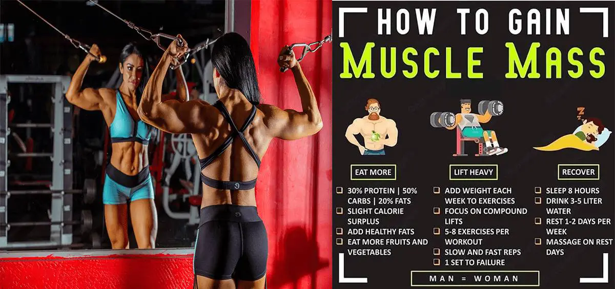 You are currently viewing How to Gain muscles mass ? 3 Rules to muscle gain faster