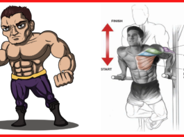 How to get the most out of your workout -- 24 bodybuilding tips ( 2019 )