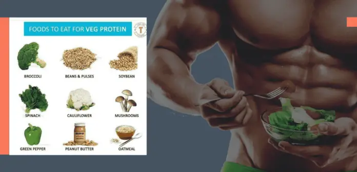 Protein Rich veg food for Vegetarian peoples