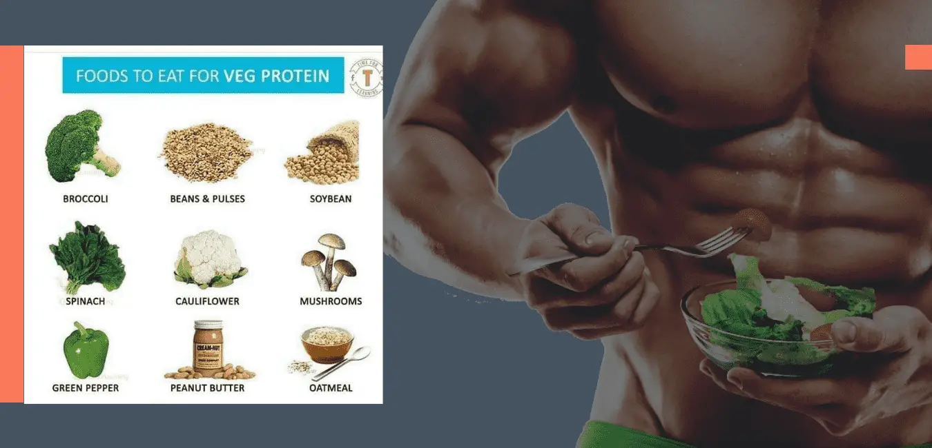 Read more about the article Protein Rich veg food for Vegetarian peoples