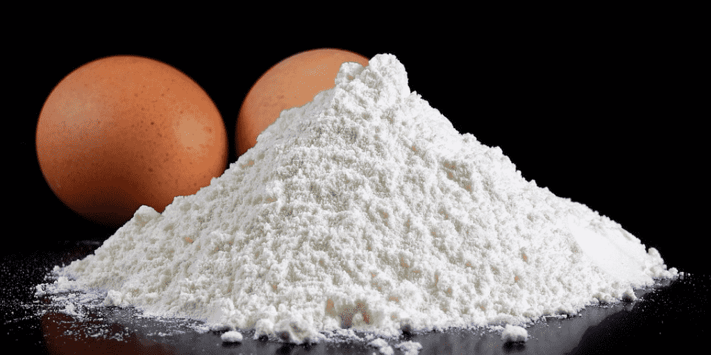 how-to-make-egg-white-protein-powder-supplement-at-home