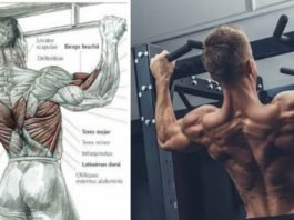 how to improve pull ups for beginners ? 5 Tips Improve Your Pull Up Powew