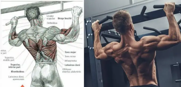 how to improve pull ups for beginners ? 5 Tips Improve Your Pull Up Power