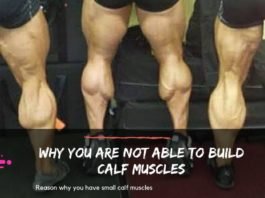 Why you are not able to build calf muscles