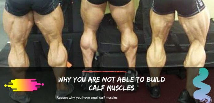 Why you are not able to build calf muscles