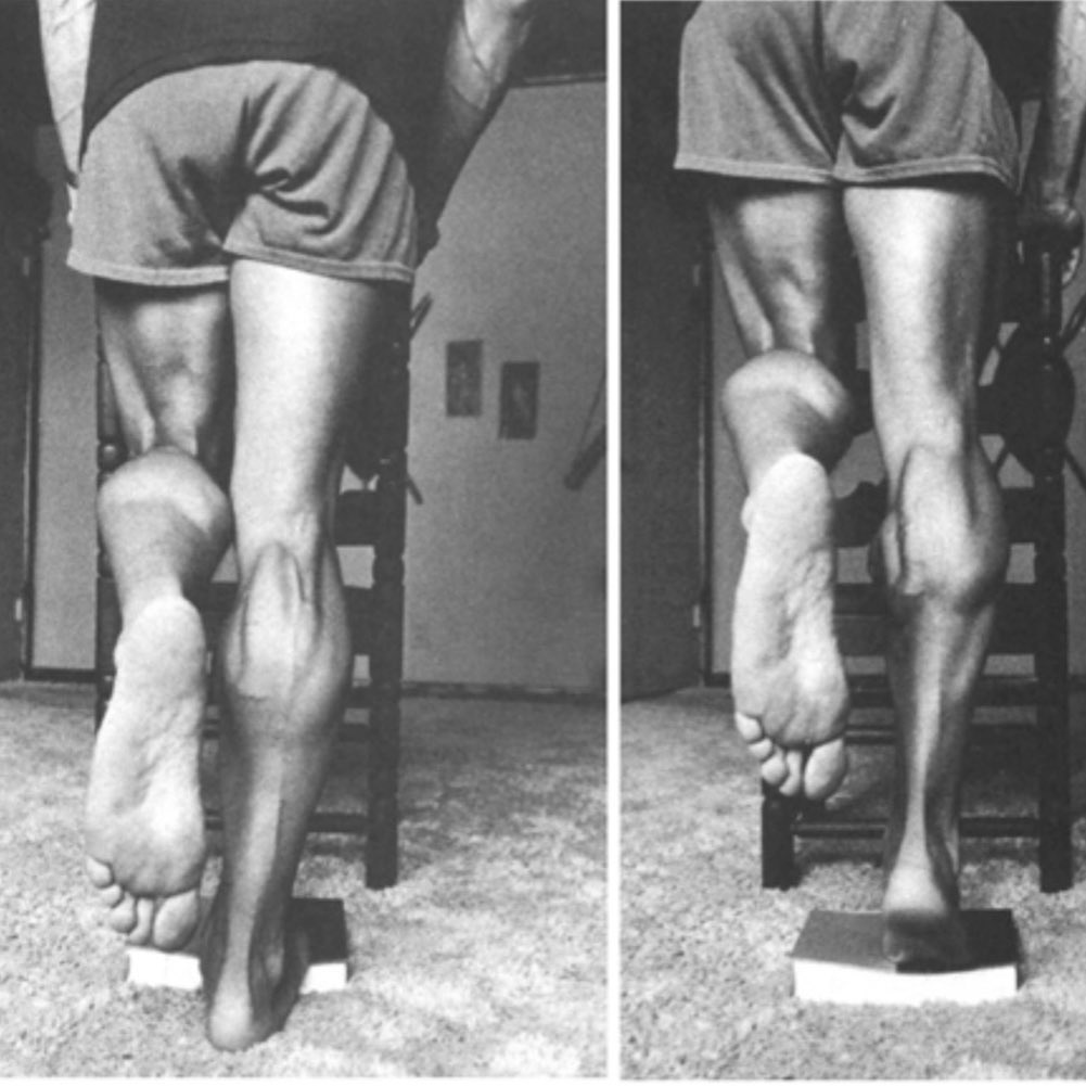  arnold Calf raises