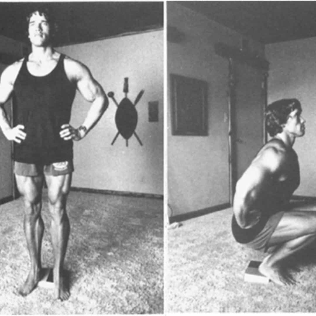 arnold body weight squats