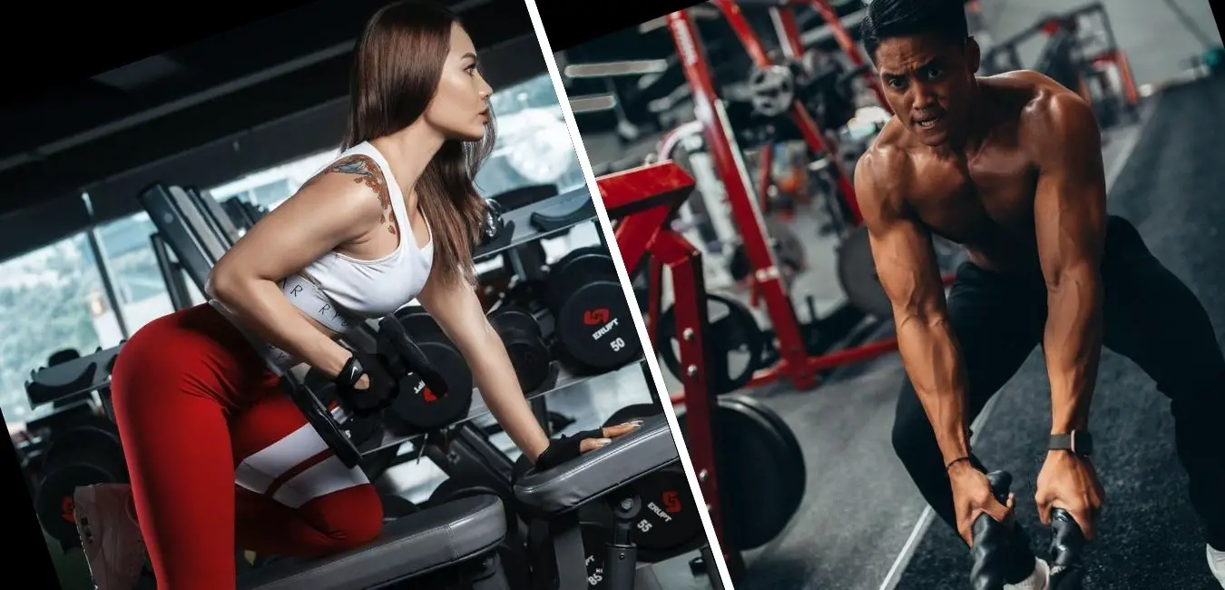 Read more about the article Ways to Get Faster Results in the Gym – Fast result fitness
