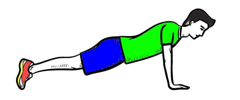 regular plank workout