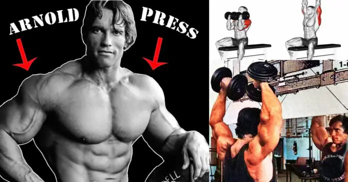 arnold shoulder press workout image