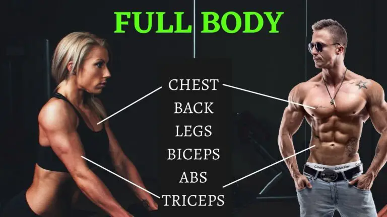 The Most Effective Full Body Workout for beginners to Muscle Gain