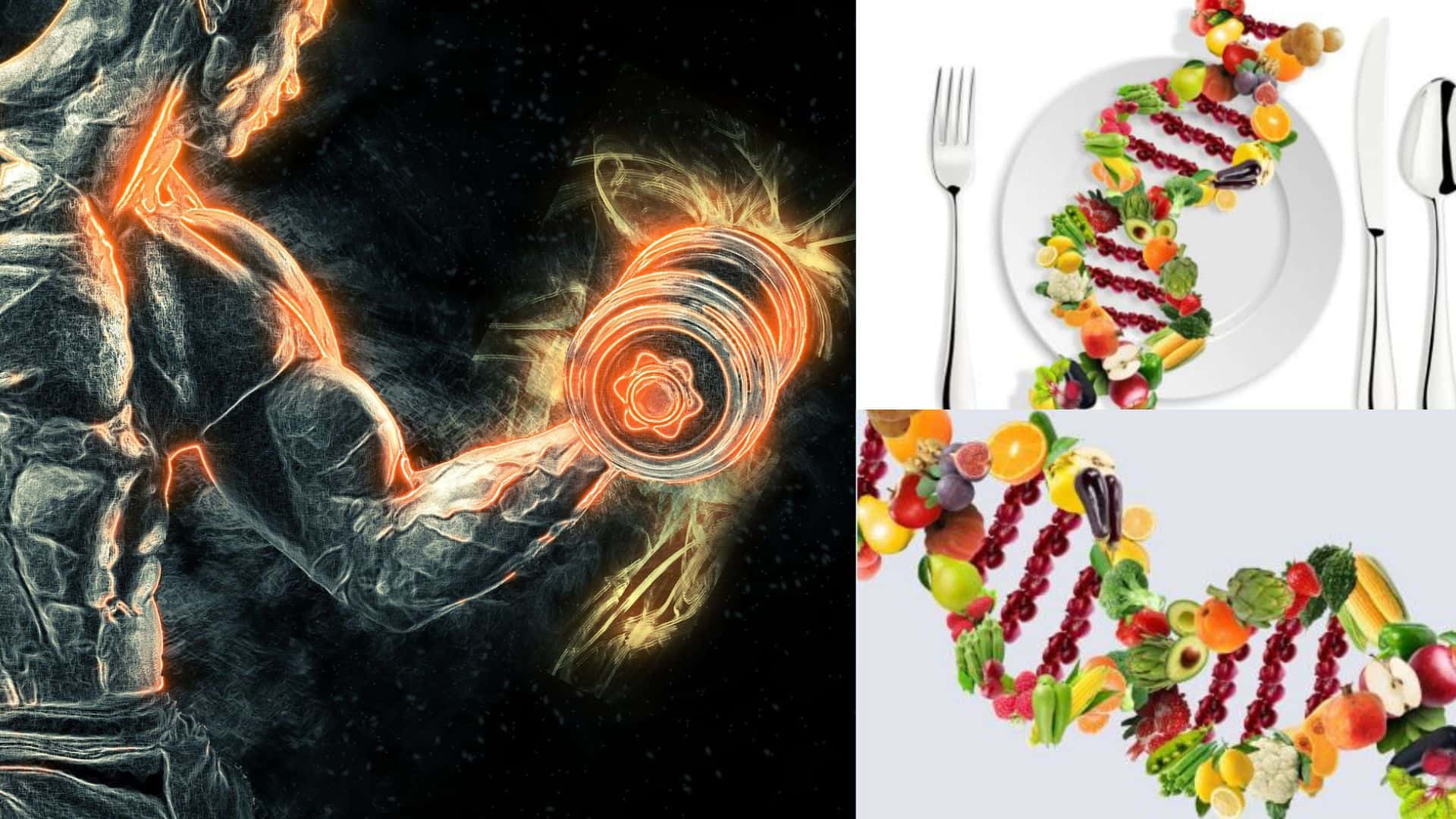 You are currently viewing Is “DNA Diets” a pseudo Science?