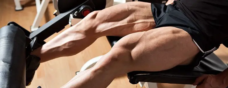 leg workout increase testosterone level in body